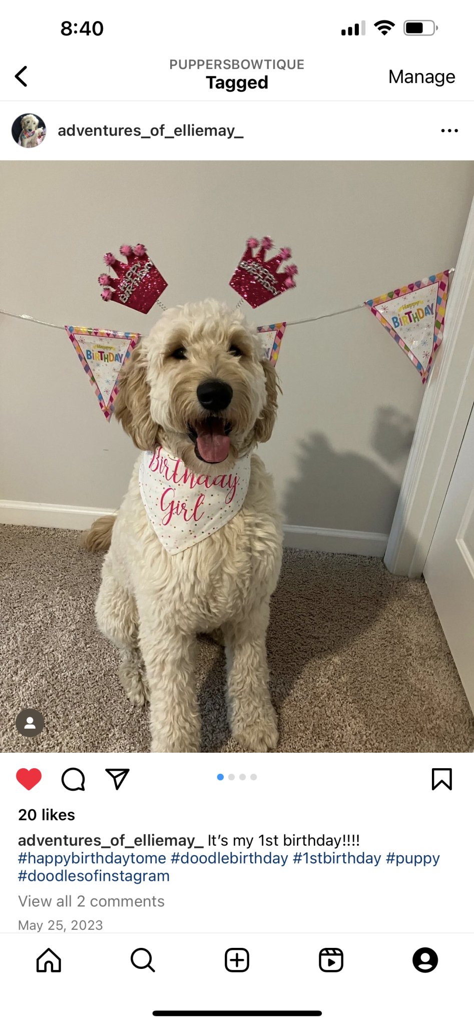 Over the Collar Birthday Girl Dog Bandana - Puppers Bowtique