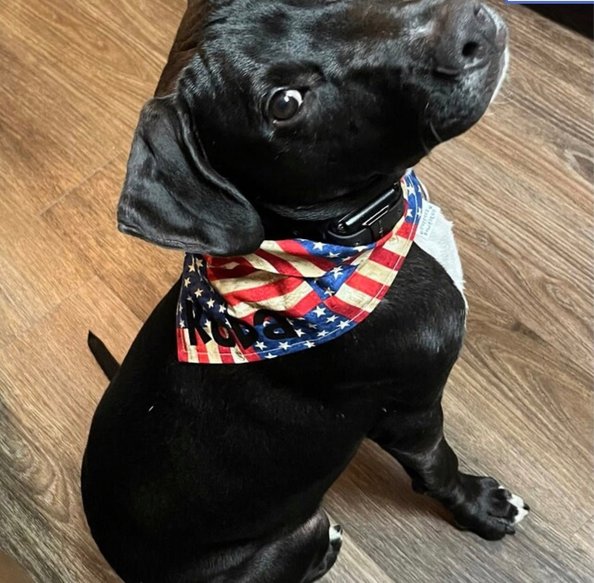 Snap On Distressed Flags Dog Bandana - Puppers Bowtique