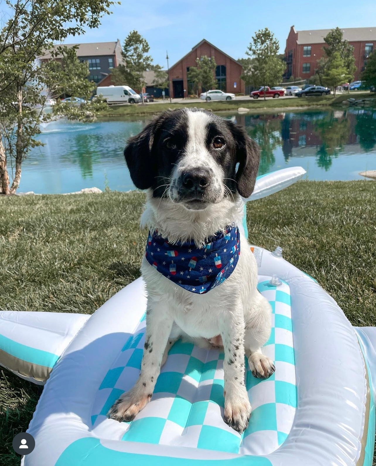 Snap On Patriotic Popsicles Bandana - Puppers Bowtique