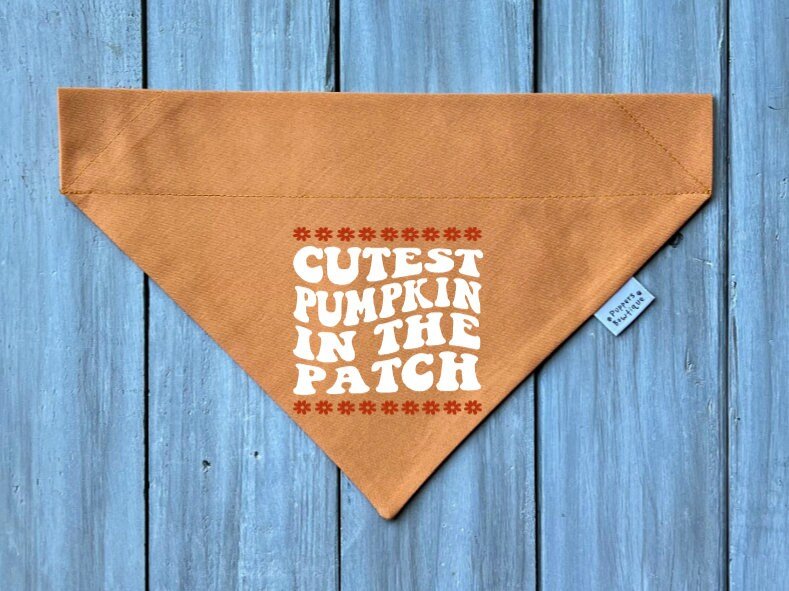 Over the Collar Cutest Pumpkin In The Patch Dog Bandana - Puppers Bowtique