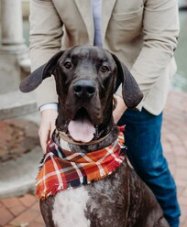 Fringed Fall Autumn Spice Dog Bandana - Puppers Bowtique