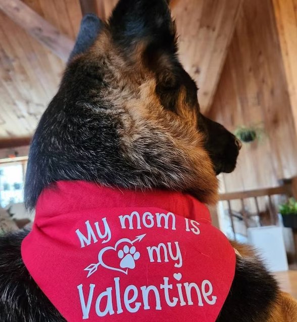 My Mom is my Valentine Dog Bandana - Puppers Bowtique