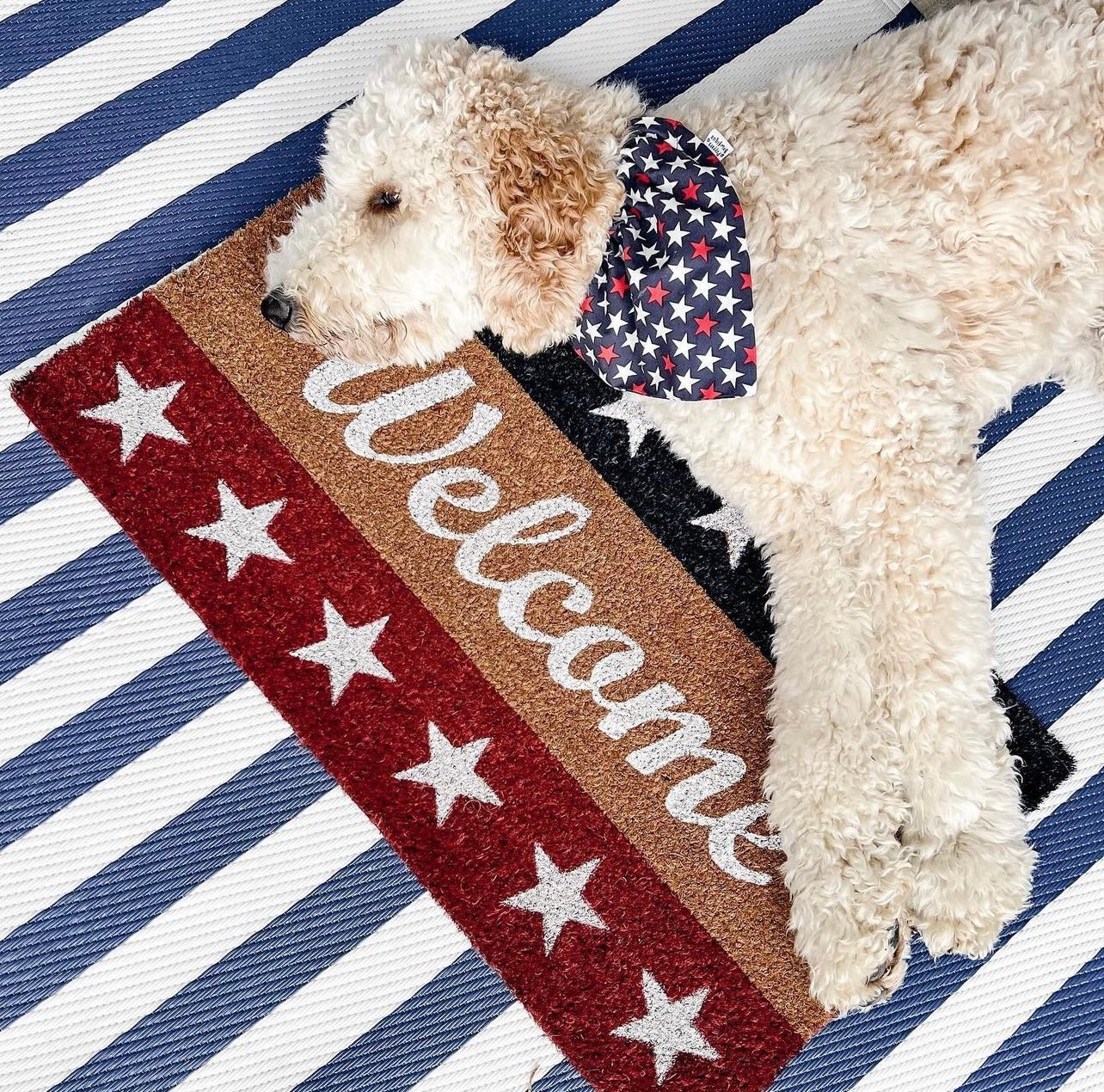 Over the Collar Patriotic Stars Dog Bandana - Puppers Bowtique