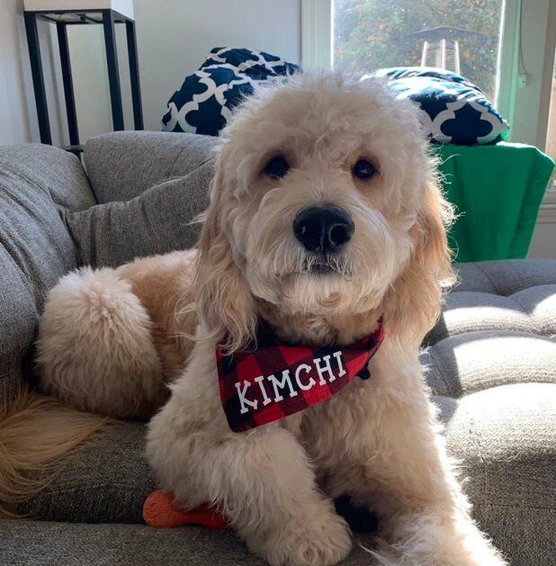 Over the Collar Flannel Red Buffalo Plaid Dog Bandana - Puppers Bowtique
