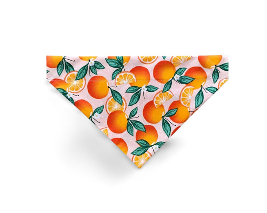 Over the Collar Orange You Glad to See Me Dog Bandana - Puppers Bowtique