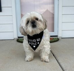 Over the Collar "I Loved Her First" Dog Bandana - Puppers Bowtique