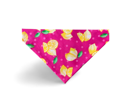 Over the Collar Pink Lemonade Dog Bandana - Puppers Bowtique