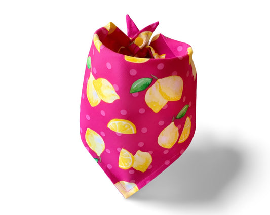 Snap On Pink Lemonade Dog Bandana - Puppers Bowtique