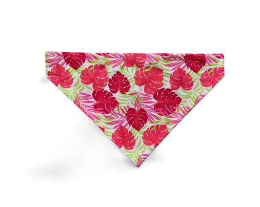 Over the Collar Pink Palm Leaves Dog Bandana - Puppers Bowtique