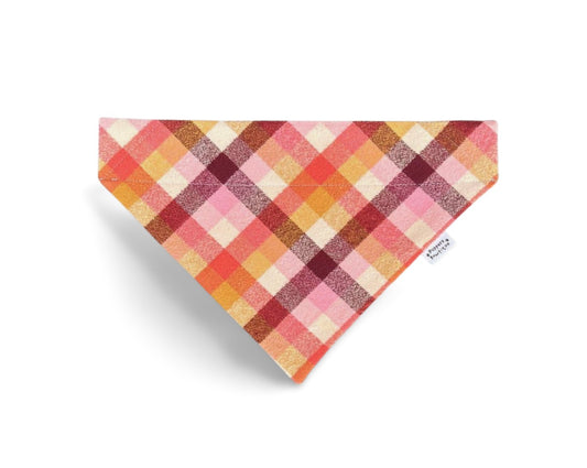 Over the Collar Sherbet Dog Bandana - Puppers Bowtique