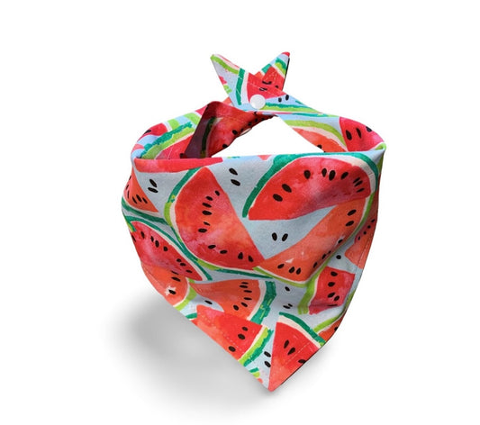 Snap On Watermelon Dog Bandana - Puppers Bowtique