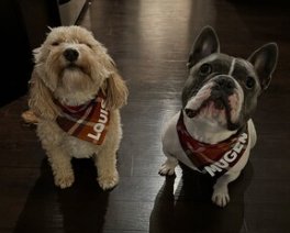Snap On Autumn Spice Dog Bandana - Puppers Bowtique