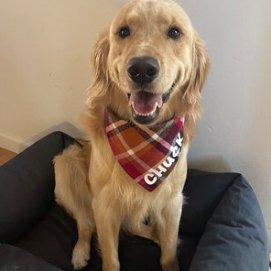 Snap On Autumn Spice Dog Bandana - Puppers Bowtique
