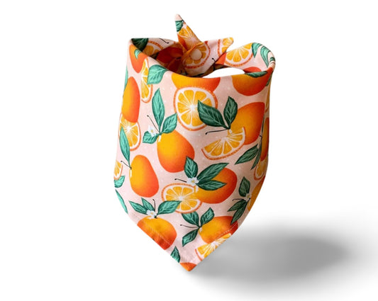 Snap On Orange You Glad to See Me Dog Bandana - Puppers Bowtique