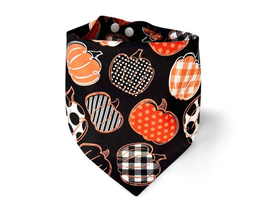 Snap On Pumpkin Pizzazz Dog Bandana - Puppers Bowtique