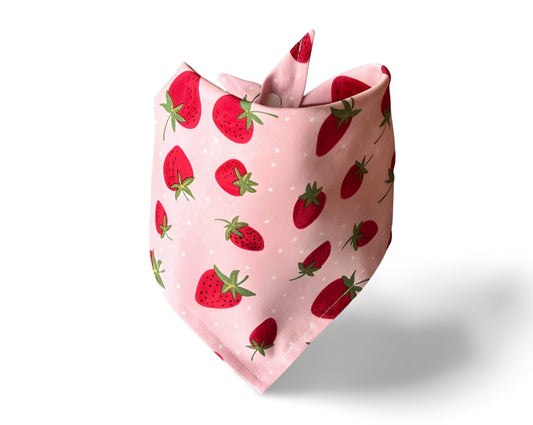 Snap On Strawberry Shortcake Dog Bandana - Puppers Bowtique