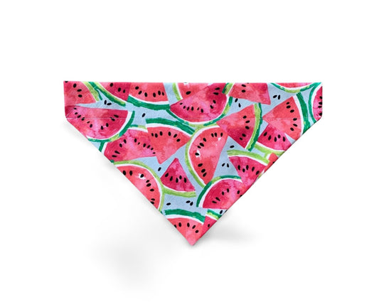 Over the Collar Watermelon Dog Bandana - Puppers Bowtique